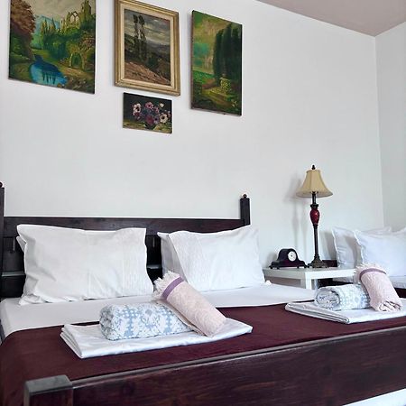 Hotel Casa Trandafirilor Tulcea Esterno foto