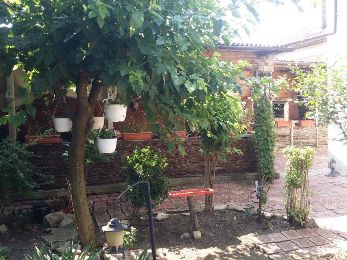 Hotel Casa Trandafirilor Tulcea Esterno foto