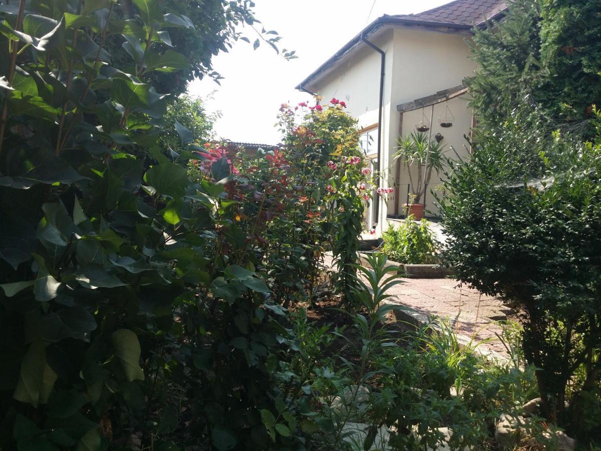 Hotel Casa Trandafirilor Tulcea Esterno foto
