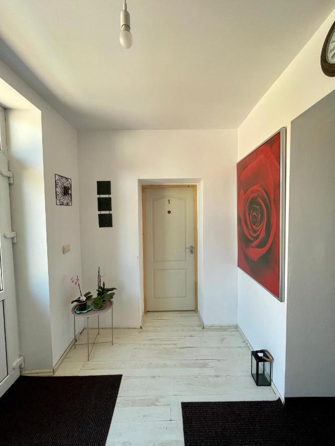 Hotel Casa Trandafirilor Tulcea Esterno foto