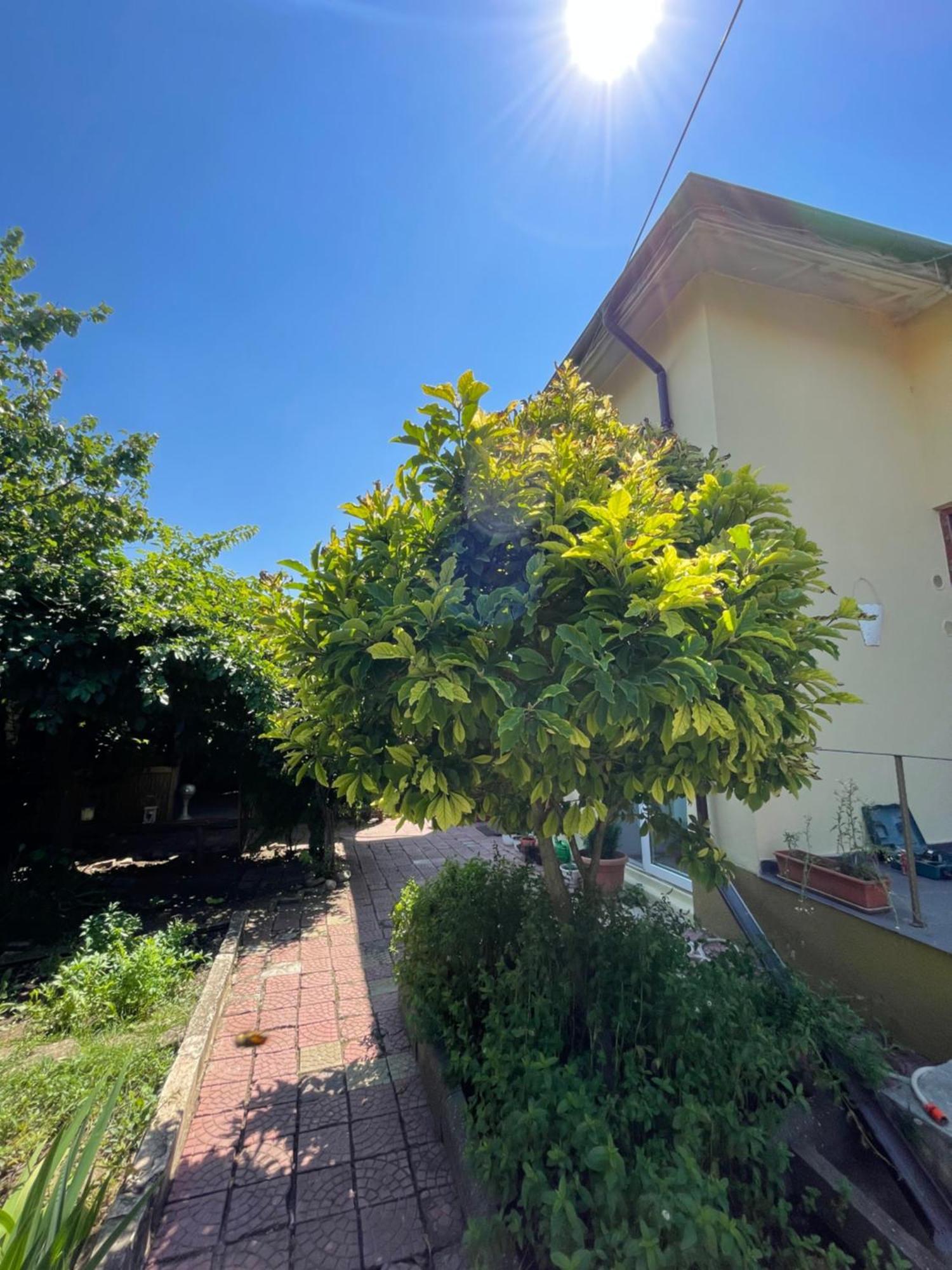 Hotel Casa Trandafirilor Tulcea Esterno foto